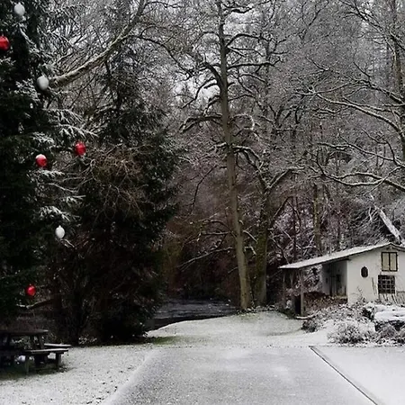 Ferienwohnung, Ruebeland *