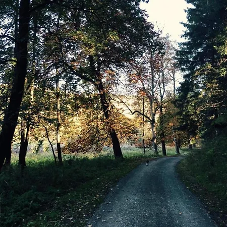 Апартаменты Ferienwohnung, Ruebeland Эльбингероде