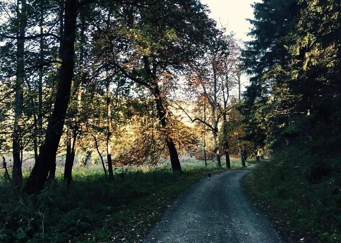 アパート Ferienwohnung, Ruebeland エルビンガーオーデ